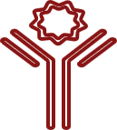 Antibody-drug conjugates icon