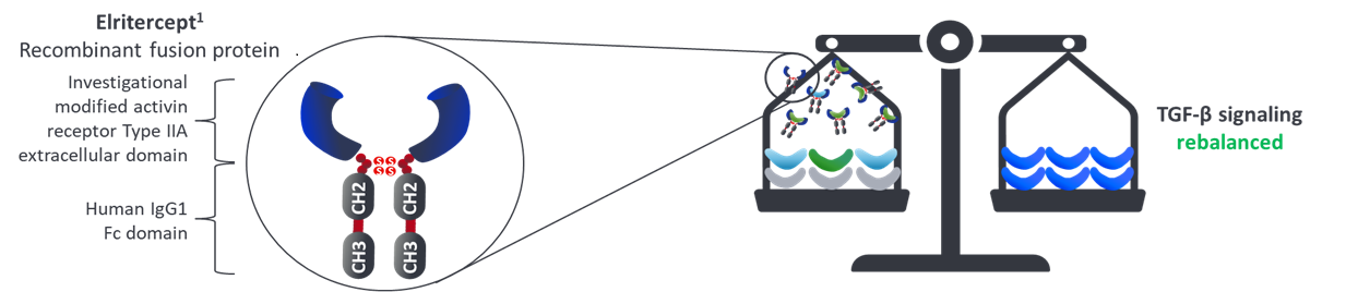 network