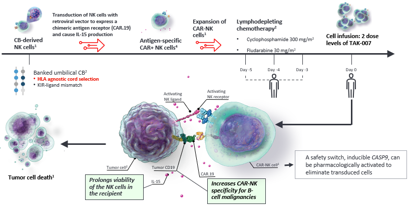 TAK - 007: Mechanism of Action